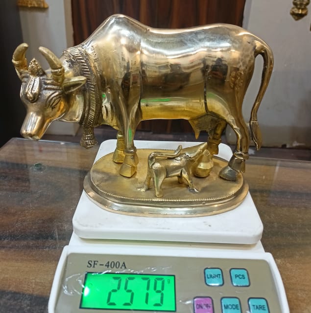 cow calf
