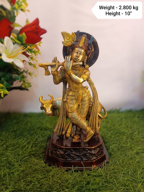 Krishna Ji
