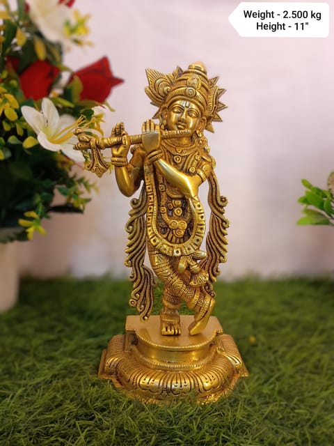 Krishna Ji