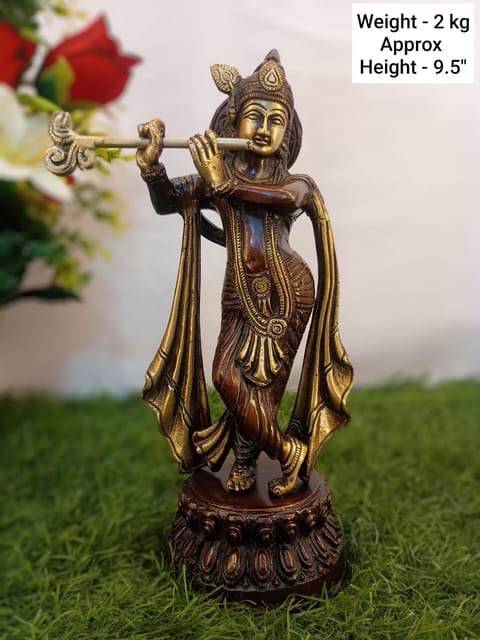 Krishna Ji
