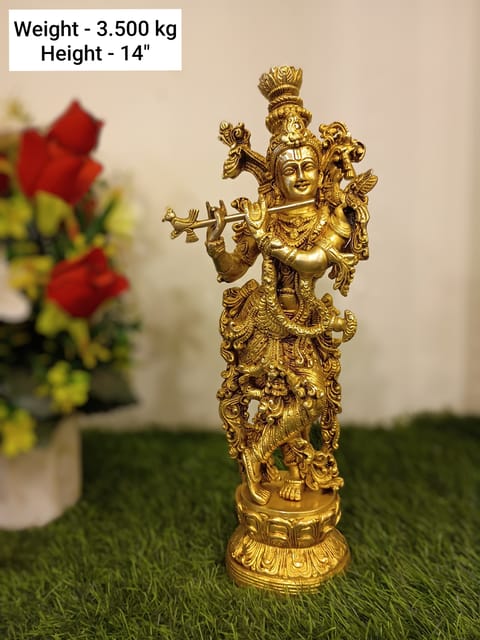 Krishna Ji