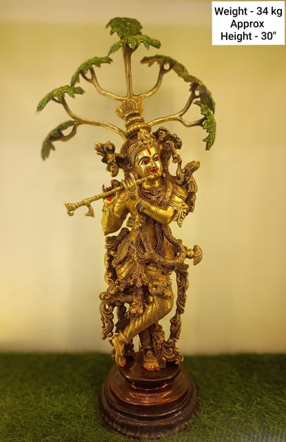 Krishna Ji